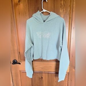 NWT, RIPNDIP, Sage Sparkly Hoodie Sweatshirt, Sz. L